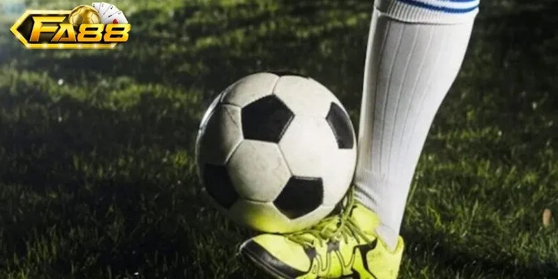 Tổng hợp các môn thể thao nhiều người chọn nhất tại FA88